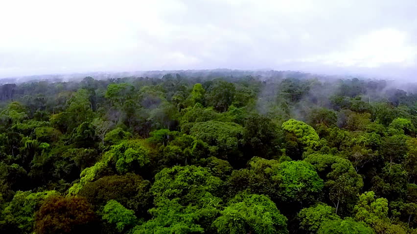 The Evaporation Of Moisture In The Rain-forest Of Africa. Flying Over