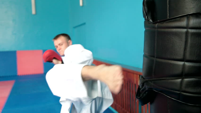 Martial artist doing a kick