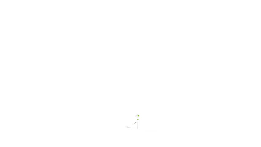 Tree grows from sapling. Comes with Alpha.