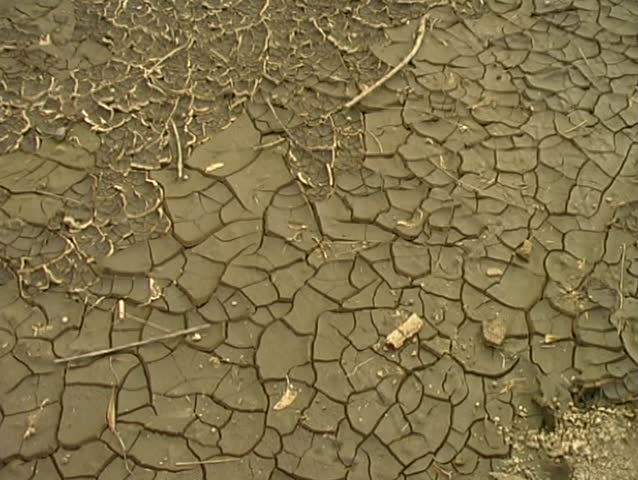 cracked mud at the bottom of a dried pond 
