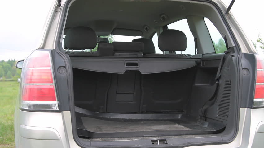 German shepherd jumping in the car