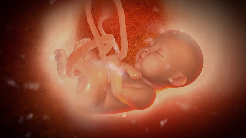 Camera zooms in to show a human baby inside a mother's womb