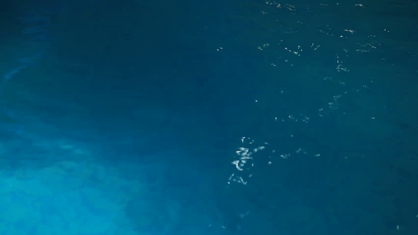Handsome guy diving into water, swimming and gettingout of water