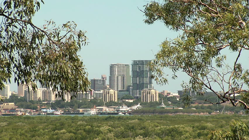 Darwin city through gum trees
