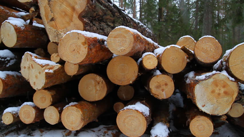 Sawn timber