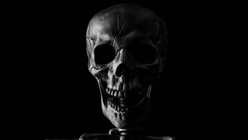 Skull Bilder Kostenlos Skull Bilder Kostenlos