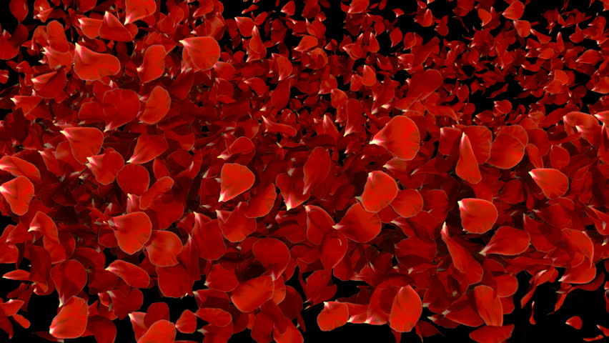 Transition with petals.