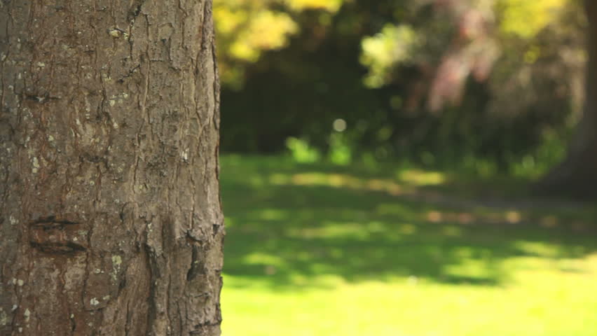 Sportsman resting against a tree while sweating