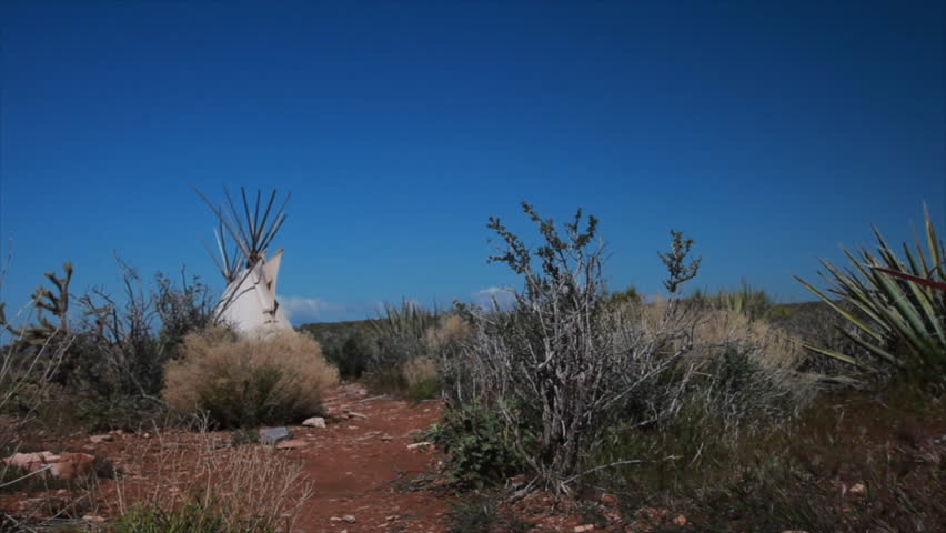 The camera dollies past plants indigenous to Arizona with the top of a native American Indian teepee in the background.