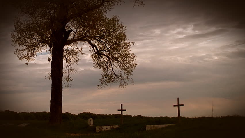 Crosses in cemetery under lonely tree on sunset sky background, bird flying, sound