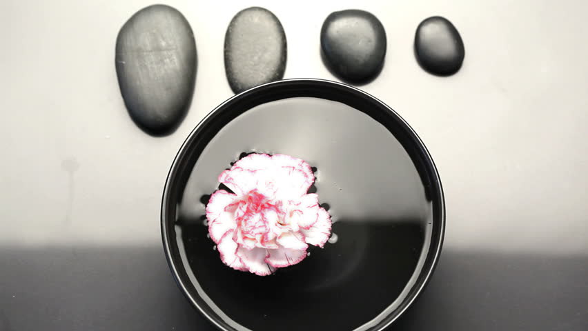 Flower turning and floating on the water in a Spa center