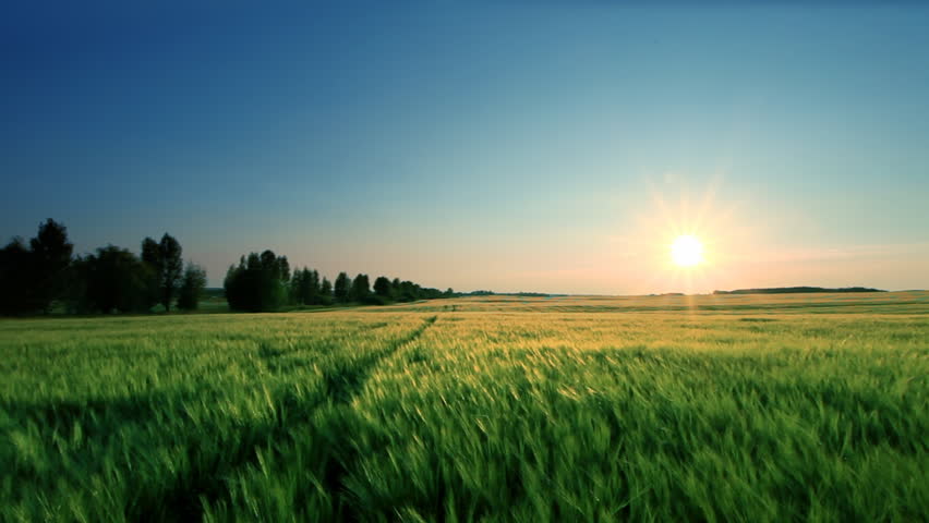 Landscape panorama 