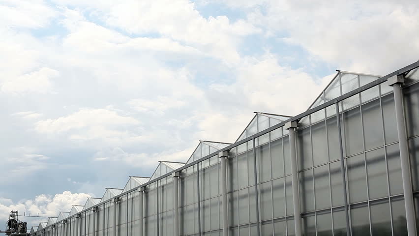 greenhouse outside with driving camera