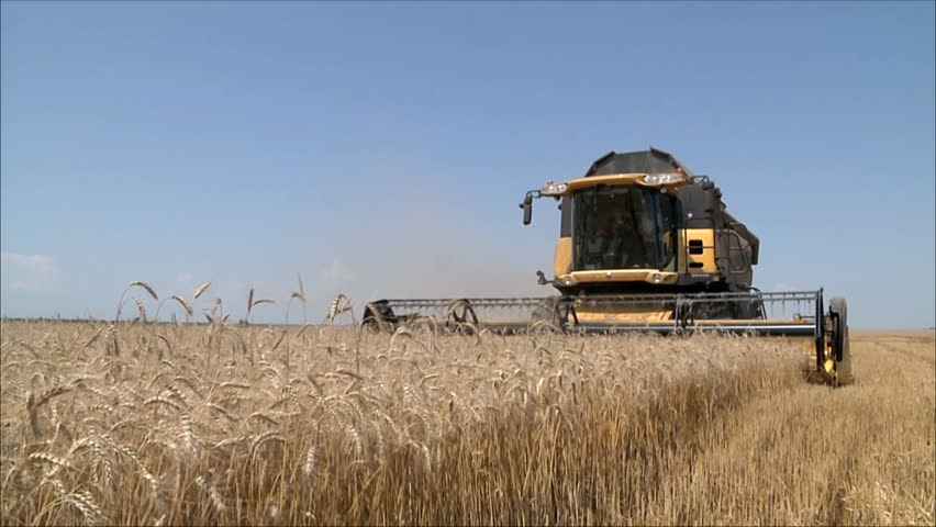 Wheat harvesting shearers 