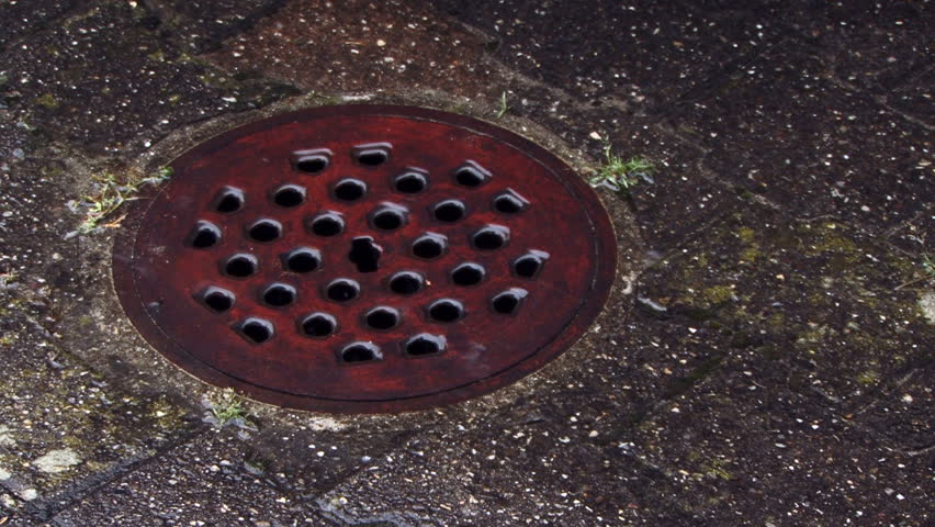 Rainwater flows into the sewer