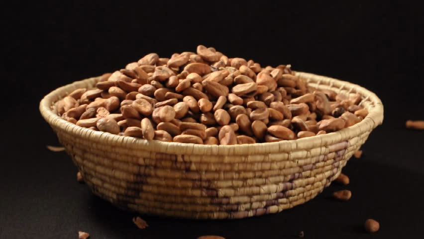 Man scoops double handful of raw cocoa beans in woven basket