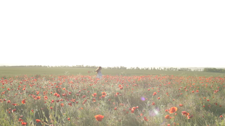 Young woman with white hat walking through red poppies field 