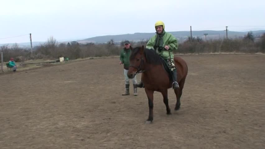 horse therapy hipotherapy