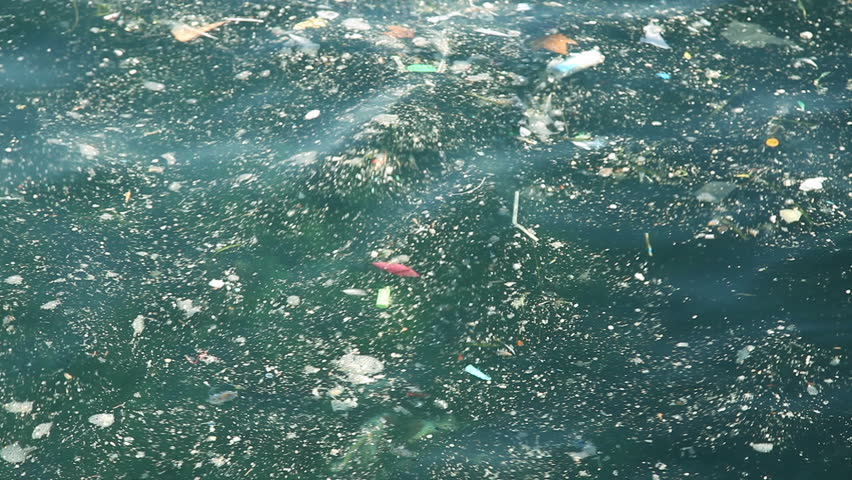 Polluted water 