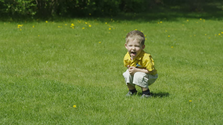 Boy playing with papillon.