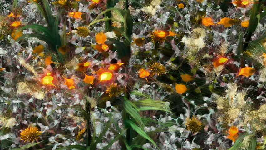 Golden wildflowers sway in a gentle breeze.