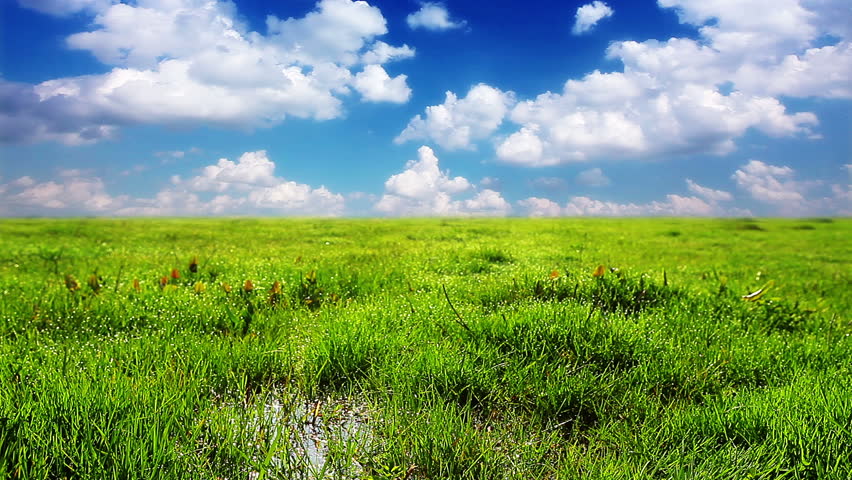 green grass on a background cloudy sky
