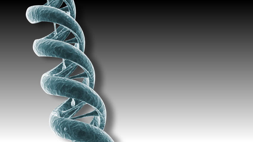 Blue-gray animated DNA strand turns.