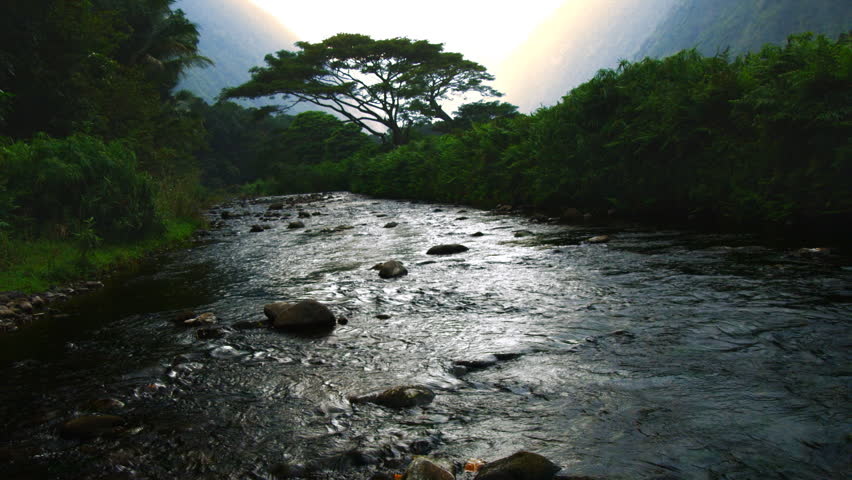 tropical valley with stream and sacred tree