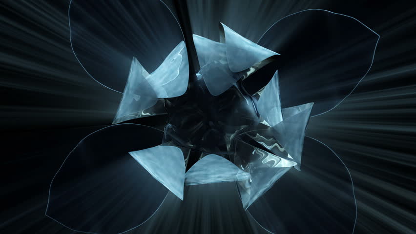 A stylized lotus flower opens.