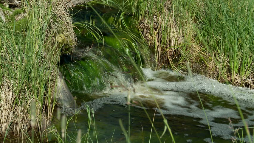 stream