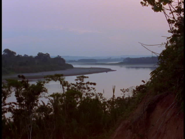 Medium shot of a river flowing through the jungle in the Amazon rainforest.