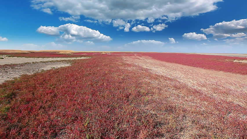 steppe landscape