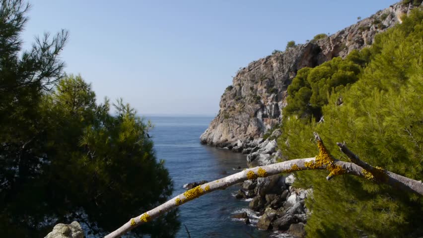 Chameleon beach