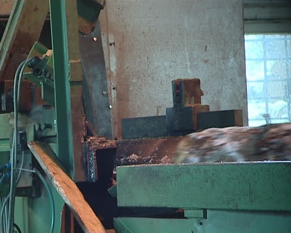 Preparation of logs for processing. Special equipment for processing wood in sawmill. 