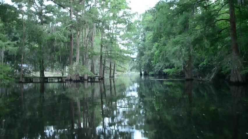 Pontoon boat ride on the Little River Bayou.