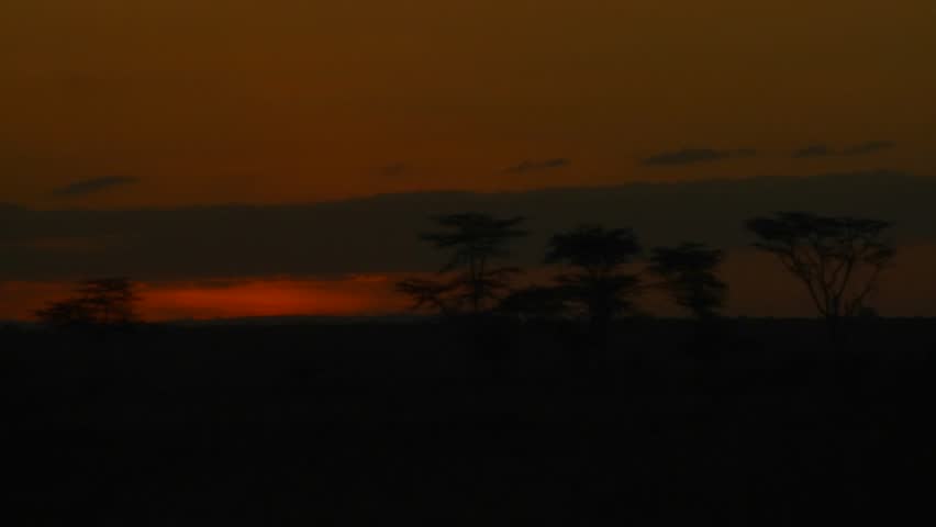 A beautiful sunrise over the plains of Africa, with acacia trees in the distance.