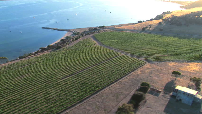 Aerial view of vineyard on the Kangaroo Island coast, South Australia