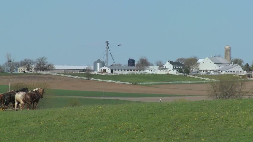 close-up Amish country with farmer farming the land.