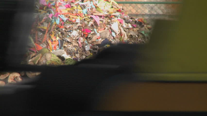 A dog in a rubbish heap by a road in India.