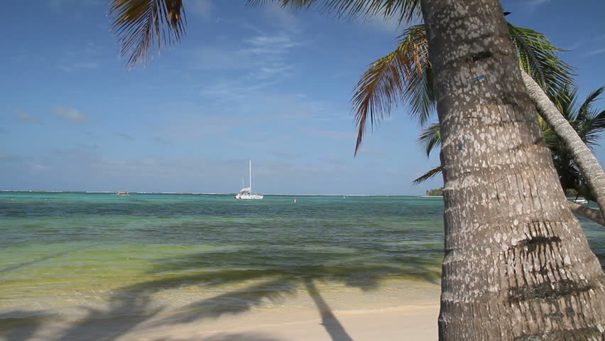 Caribbean beach, 4 different parts