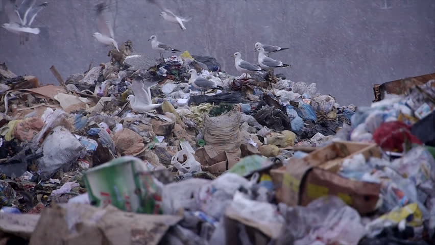 garbage dump