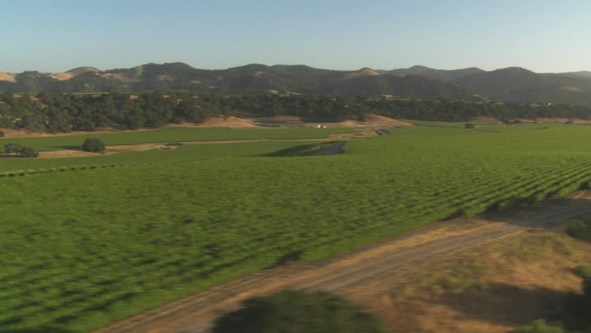 Helicopter low level aerial of Santa Barbara County vineyards, California.