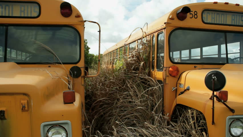 pan of two broken down school busses