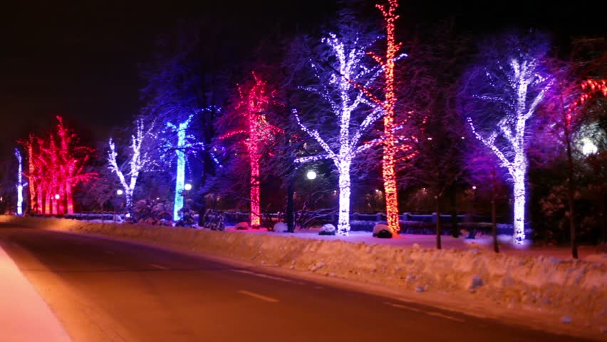 Trees are decorated with garlands stand along the road on which vehicles travel away