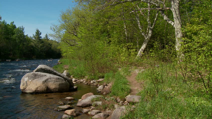 Rocky river in springtime forest