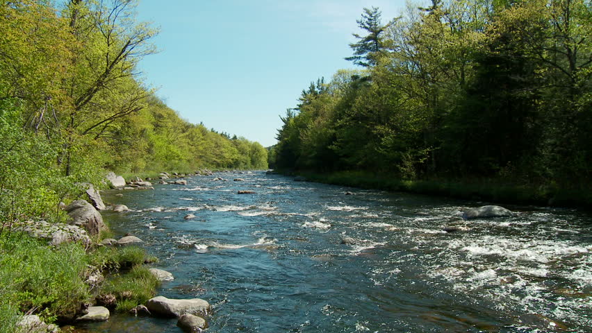 Rocky river in springtime forest