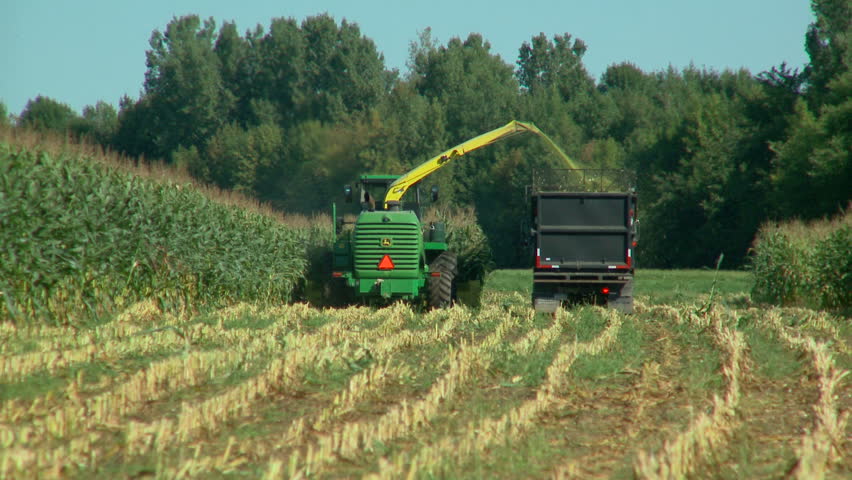 Corn chopper cuts down crops