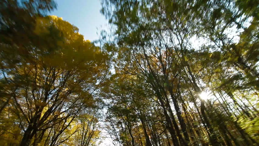 driving on a mountain winding road in autumn, Wide Angle