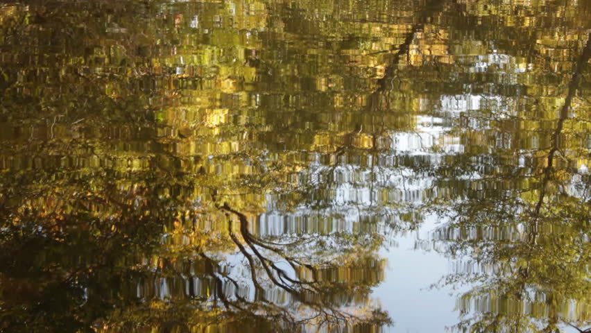 Fall colors are reflected in the ripples moving gently through the waters of Oak Creek in Sedona, Arizona.