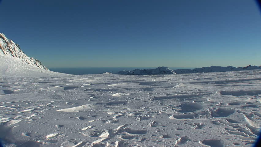 Two couples walk away from camera on top of Fox Glacier
